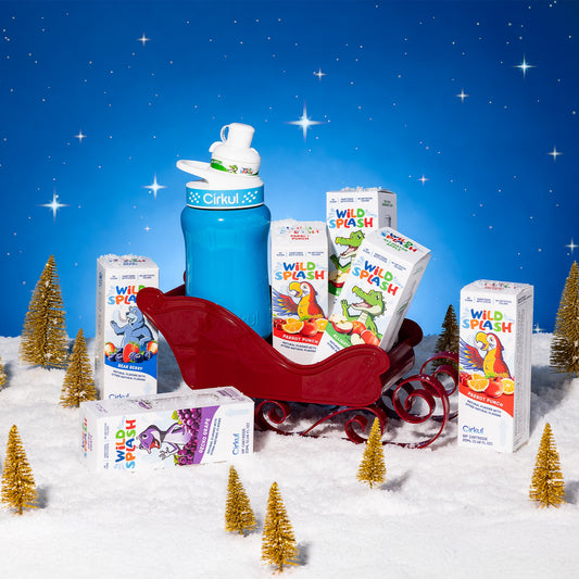 Letters From Santa Bundle