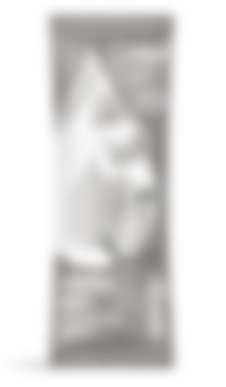 LifeSip Orange Mango