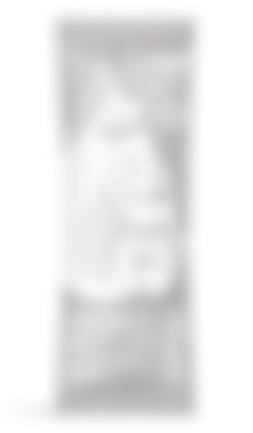 LifeSip Honeycrisp Apple