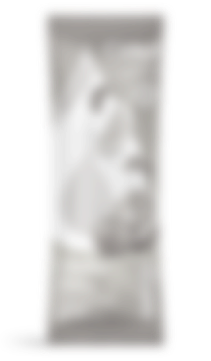 LifeSip Orange Clementine