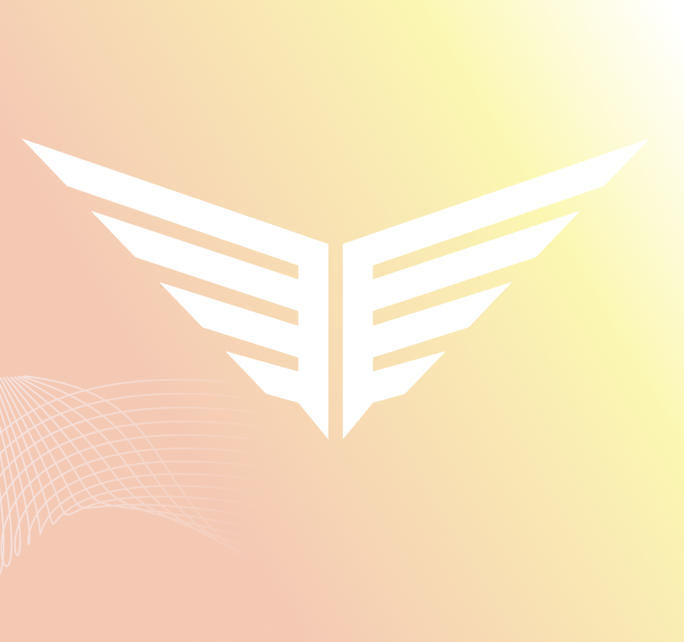 Starter Kit Extra: Flyte Fast Break