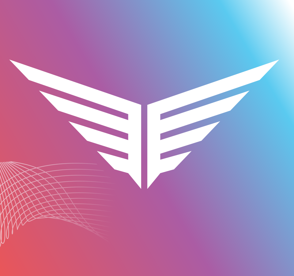 Starter Kit Extra: Flyte Hit Stick