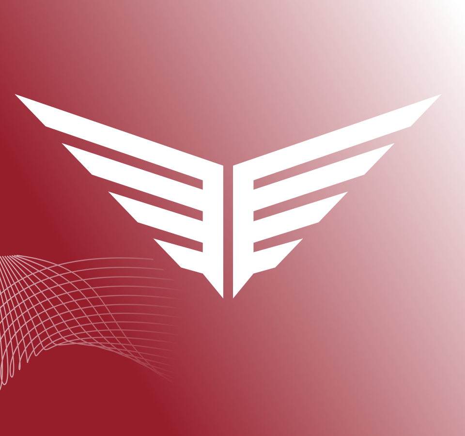 Starter Kit Extra: Flyte No-Hitter