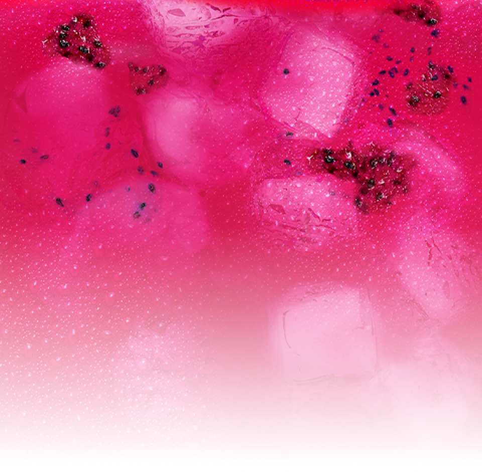 Starter Kit Extra: Frosted Mango Dragon Fruit Refresher