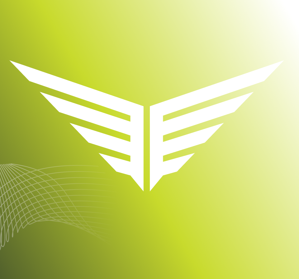 Starter Kit Extra: Flyte Goal Line