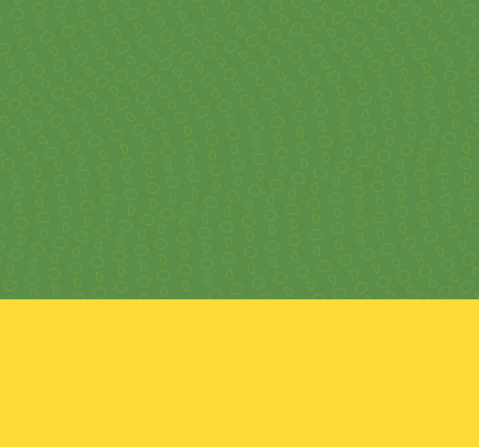 Starter Kit Extra: Squeeze Kiwi Lemonade