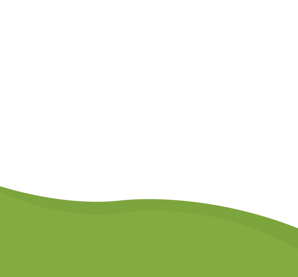 Starter Kit Extra: Wild Splash Walrus Watermelon